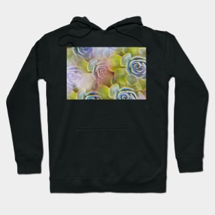 Succulent photographed through prism filter Hoodie